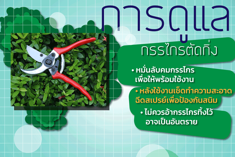การเรียนรู้ศาสตร์เกษตรยั่งยืน: การขยายพันธุ์และการดูแลพืช