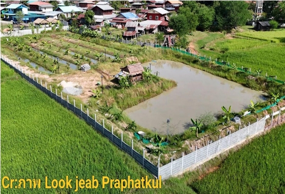 เกษตรยั่งยืน (Sustainable Agriculture)